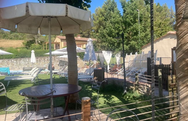 Gatto Bianco Tizzauli - Foto 40