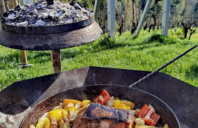 Vineyard cottage Matej - Foto 40