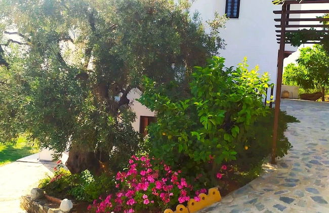 Villa Leonidas GreeceFiloxenia - Photo 55