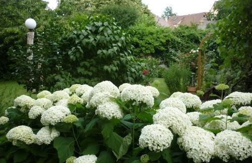 Haus am Sandsteinbruch - Foto 6