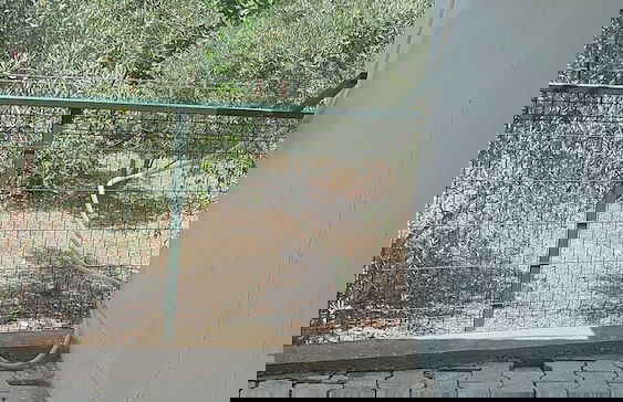 Adrasan Parlak Evleri - Foto 75