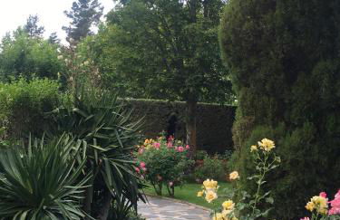 Villa Aurelia - Casa de campo con jardín y piscina entre Madrid y Segovia - Photo 26