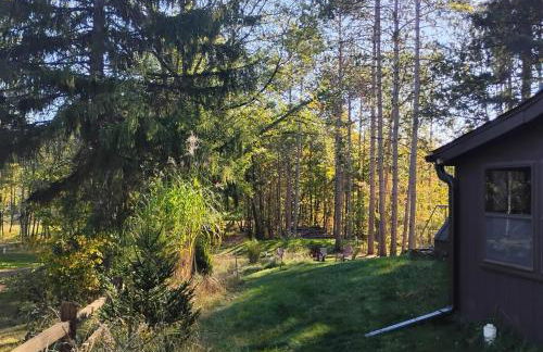 The River Cabin - Foto 45