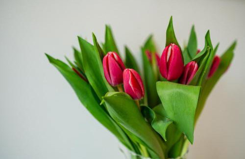 Buckingham House Horizon Stays - Foto 49