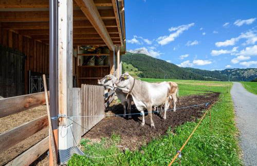 Mühlanderhof Apt Klopairspitze - Foto 27