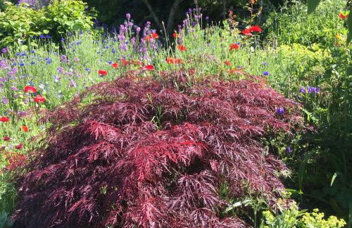 Haus am See - Foto 33