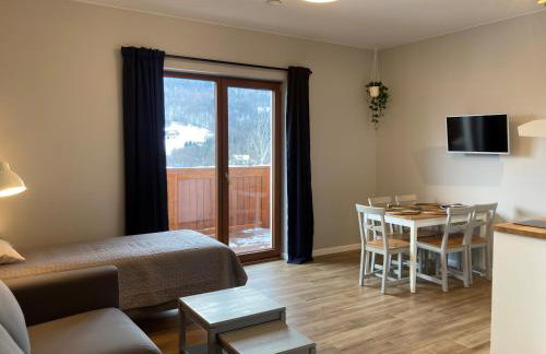 Apartamenty Black Lion - Foto 68