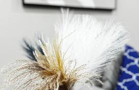 Lavish Escape - Foto 27