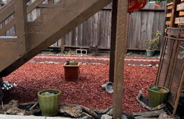 Bumblebee House - Foto 62