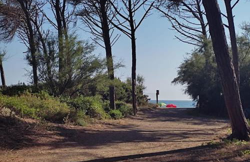 Trilocale con piscina - Foto 63