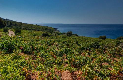 Holiday Home Biserka - Photo 24