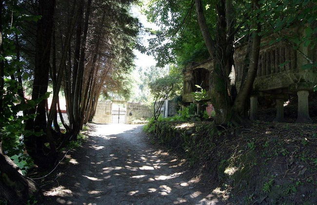 Pazo Larache - Foto 29