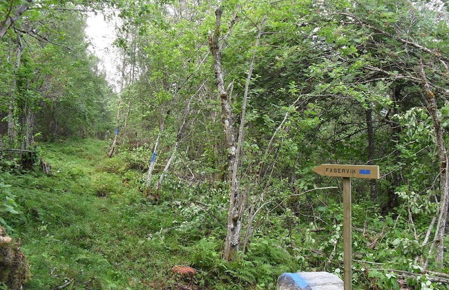 Fagervik Camping - Photo 64