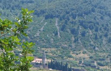 M&D appartments - Photo 28