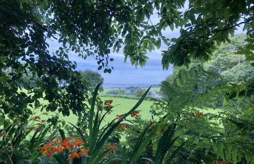 Domaine de Kerstrat - Foto 70