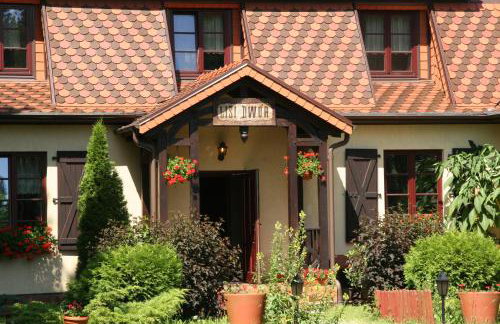 Lisi Dwór - Foto 19