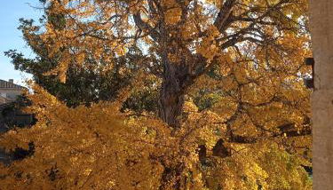 Baignade devant la maison ! - Foto 4, Garden view