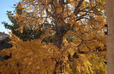 Baignade devant la maison ! - Foto 4