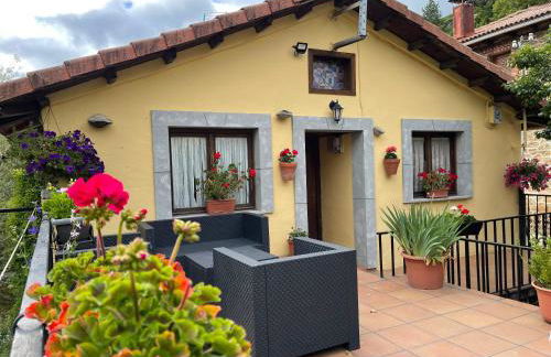 El Hayedo de Argovejo - Foto 7