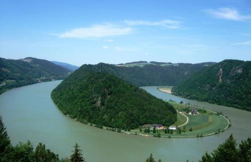 Ferienwohnung Örtl 7 - Foto 44