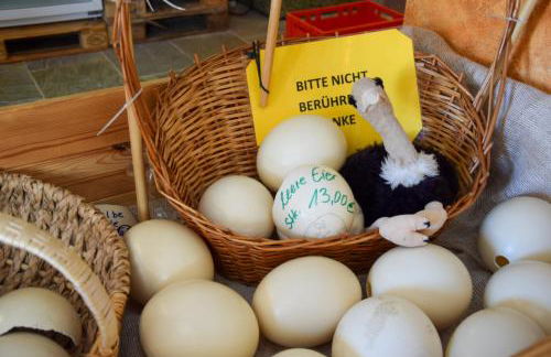 Ferienwohnungen Straußenfarm Burkhardt - Foto 20