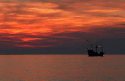 Beach Palms- Unit 102 - Foto 34