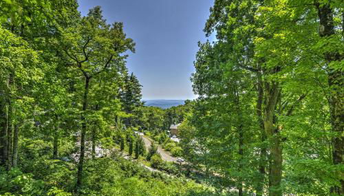 La Petite Chalet with Views in Blue Ridge Mtns! - Foto 3