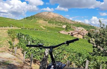 Spa-Sauna-Ciel de pluie tropicale-Champagne Nuit Romantique - Escapade Mâconnaise - Foto 68