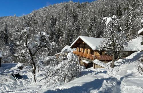 La Grange d'Anaïs - Foto 1