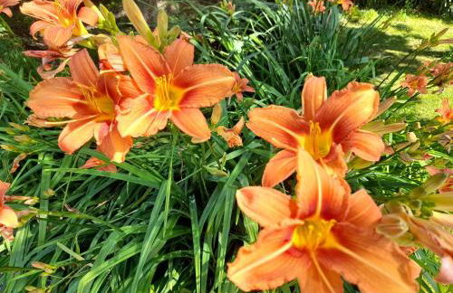 Domaine de l'Ermitage - Foto 48