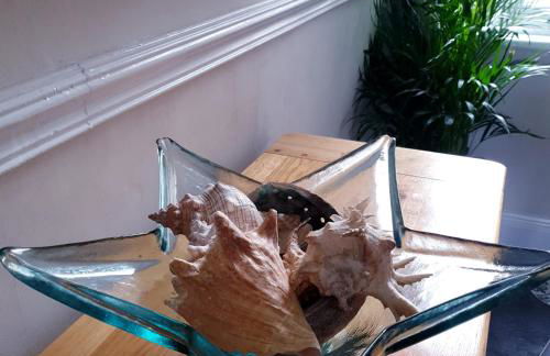 Seahorse House, Beautiful Large house next to the Beach & Park & near Zoo, Hythe - Foto 25