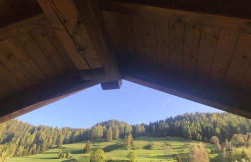 Cesa Mandi e Miky - Foto 18