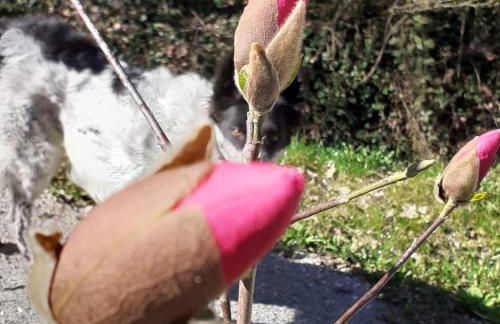 Cascina Linét - Foto 7