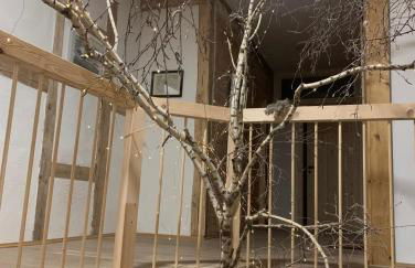 Gutshaus Zarnewanz - Foto 18