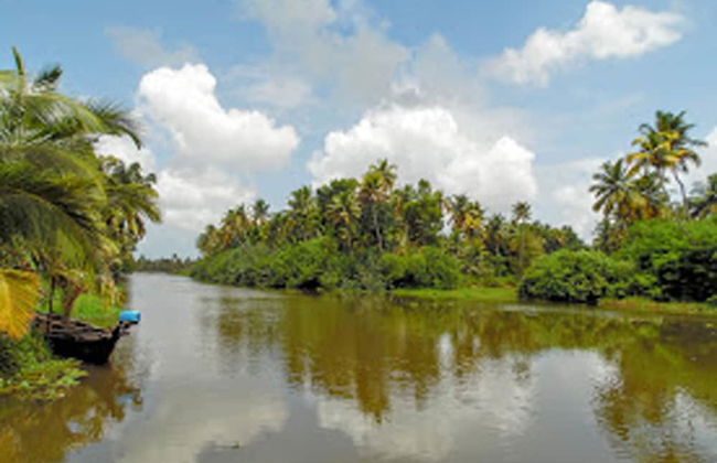 Houseboat Cruise in the Backwaters of Kerala - Foto 8