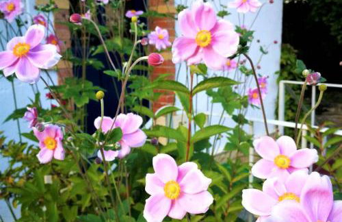 Charmante maison bourguignonne avec grand jardin et parking - Foto 21