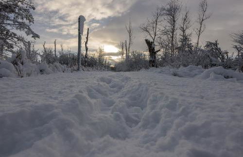 63qm im Eschachtal - Photo 28