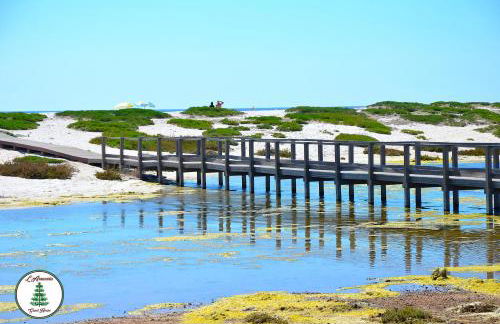 L'Araucaria Appartamento Suite Il Ginepro - Foto 41