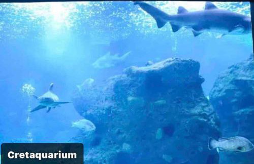 Island Away Chersonisos - Foto 39