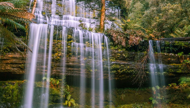 Excursión al Parque Nacional del Monte Field