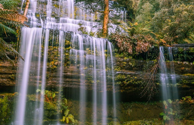 Excursion au Parc National de Mont-Field - Photo 4