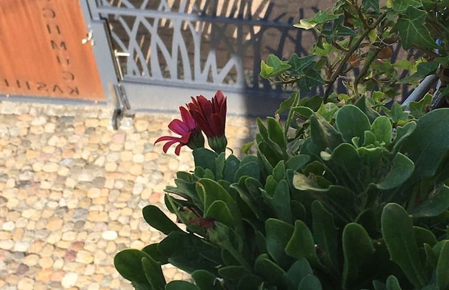 Schmuckkästle am Hafen - Foto 64