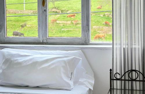 Camino del Soplao -zona Santillana del Mar- - Foto 6