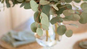 Wild Olive Lodge ° Serene grandma chíc getaway cabin - Foto 2