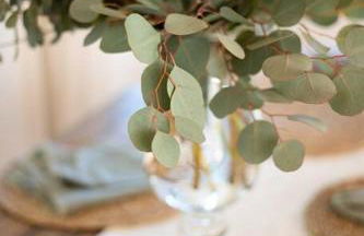 Wild Olive Lodge ° Serene grandma chíc getaway cabin - Foto 2