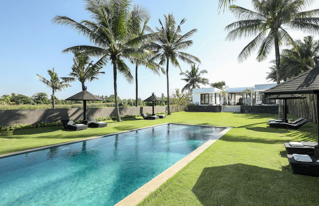 Black Beach Villa - Absolute Beachfront - Photo 11