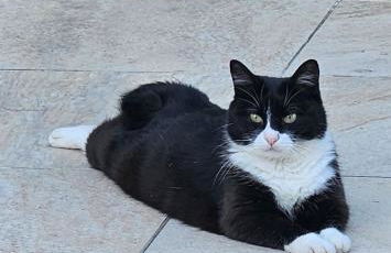 Au séchoir à Tabac - Foto 53