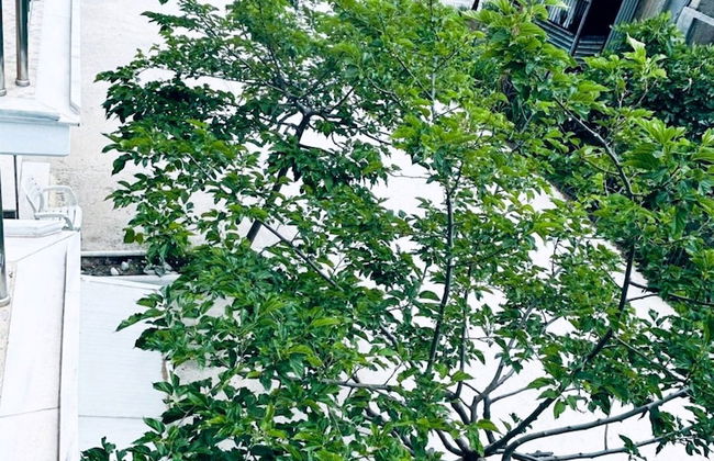 A & A Apartments 2 - Photo 36