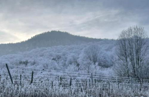 Le Relais du Piémont Ottrott - Mont Sainte-Odile- Champs du feu - Photo 33