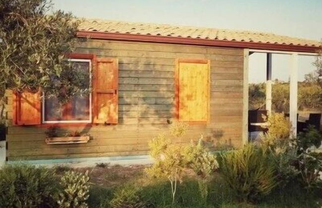 Agricampeggio Maccari - Photo 26